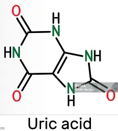 senyawa asam urat